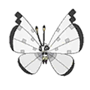 pokemon avatar shiny